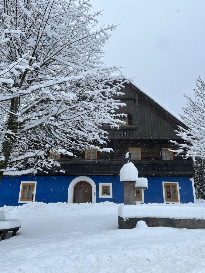 Blue House Διαμέρισμα Ramingstein Εξωτερικό φωτογραφία